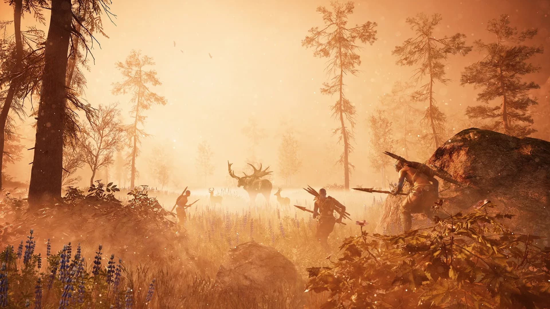 image backdrop image
