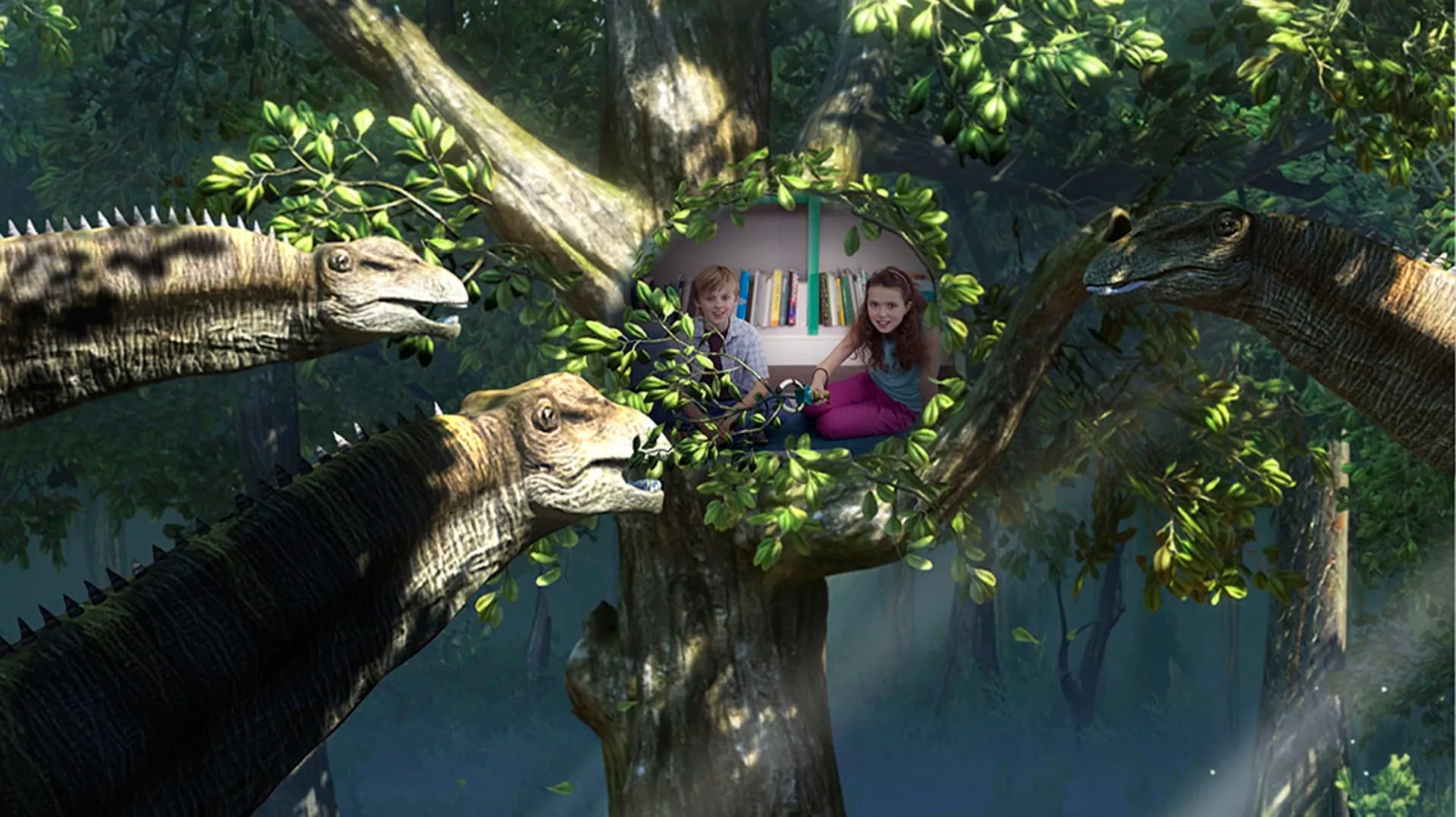 image backdrop image