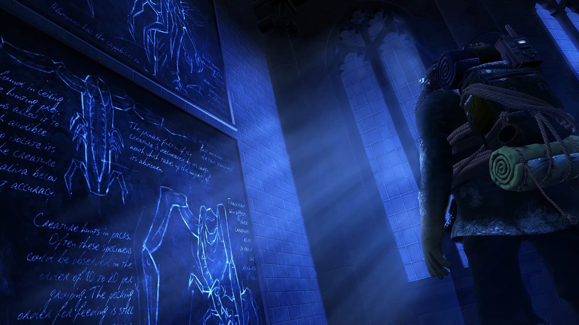image backdrop image