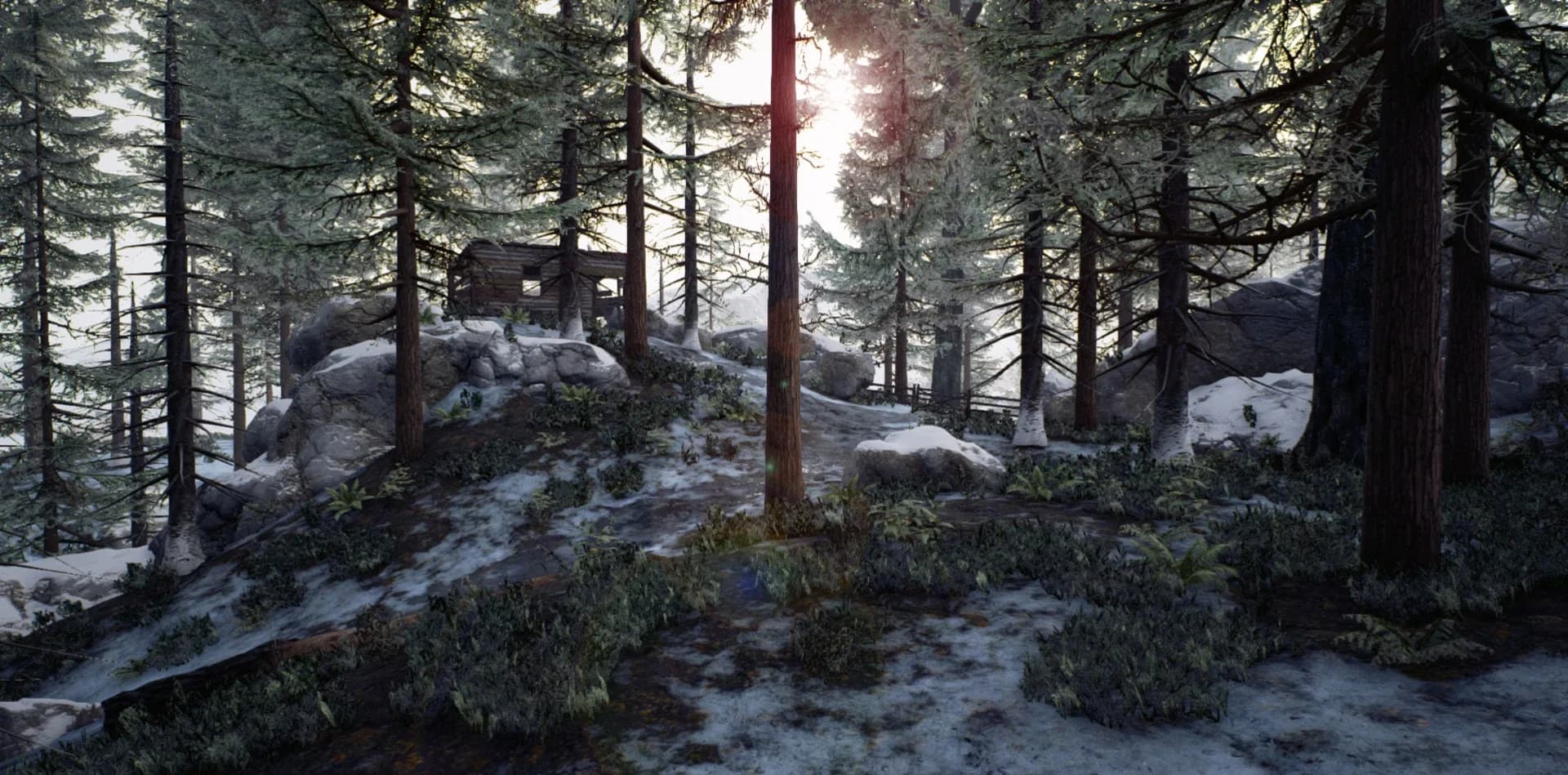 image backdrop image