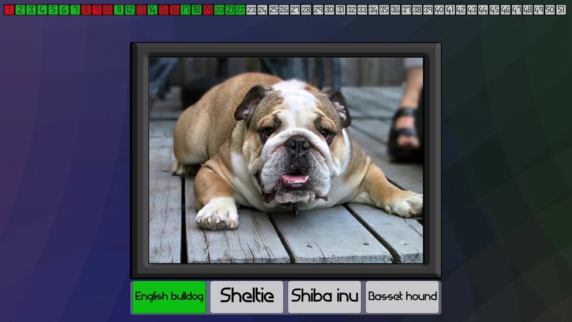 image backdrop image