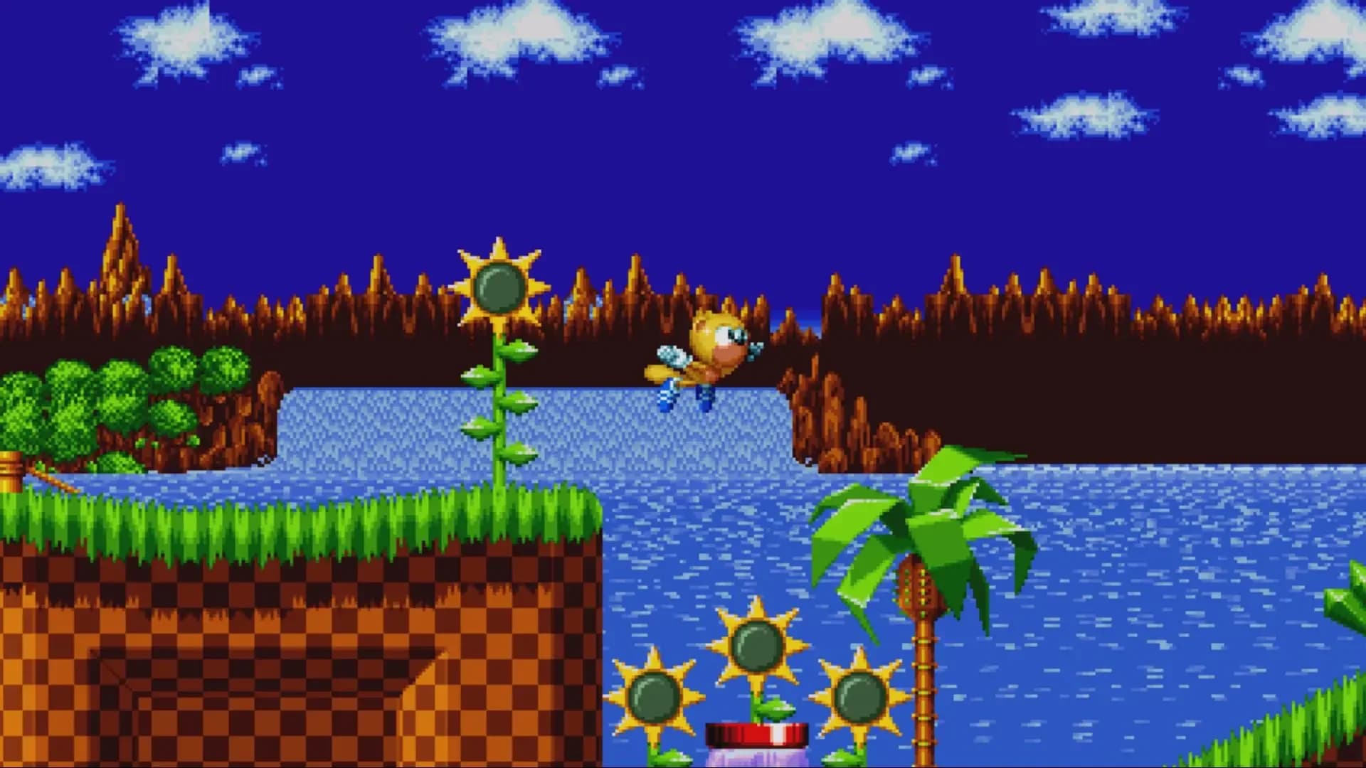 image backdrop image