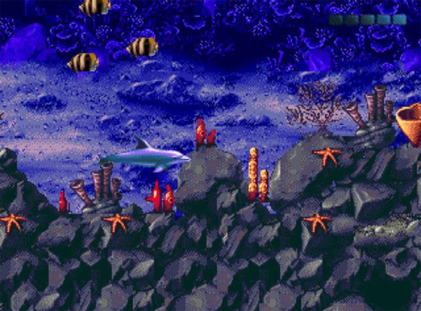 image backdrop image
