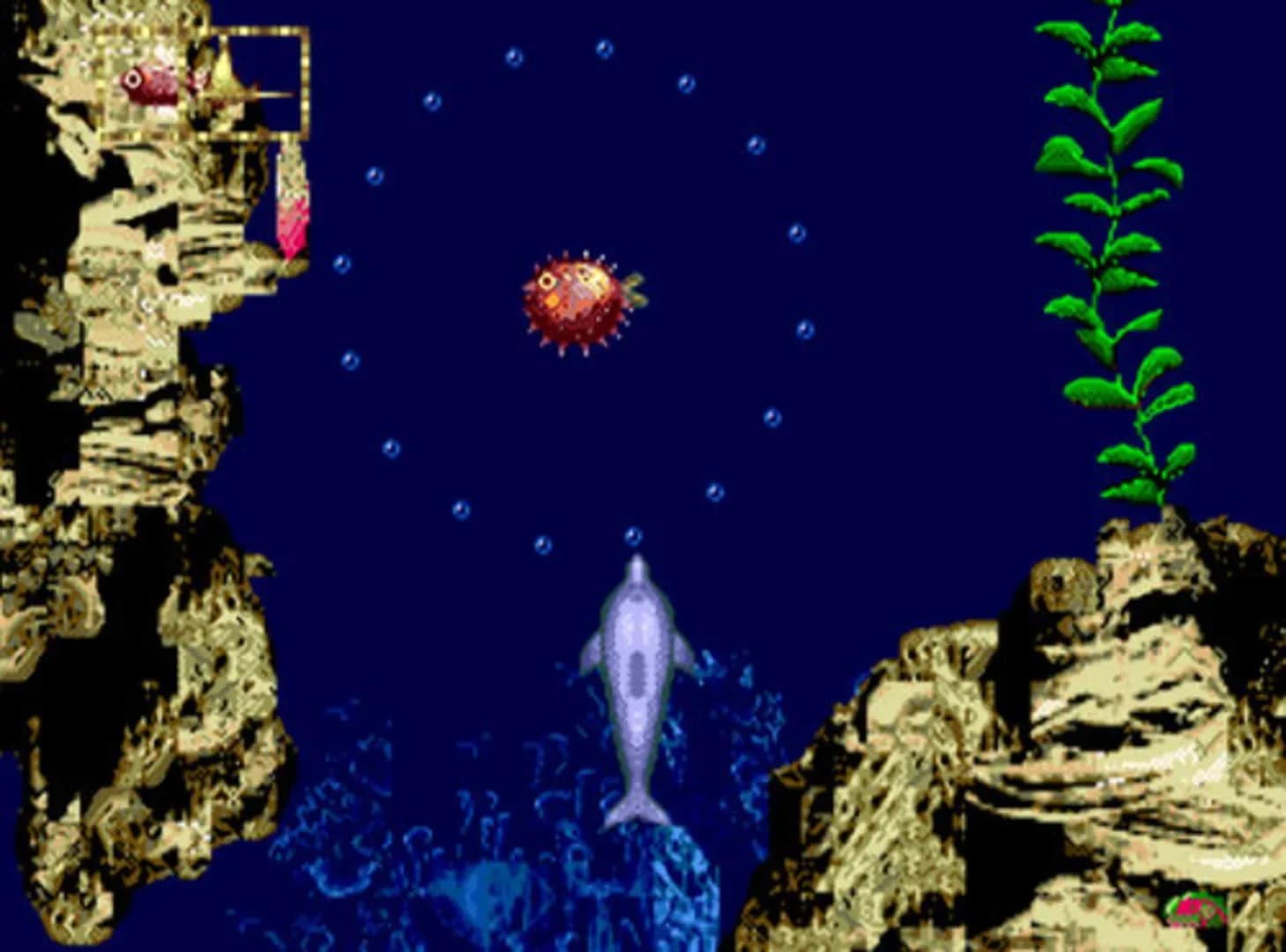 image backdrop image