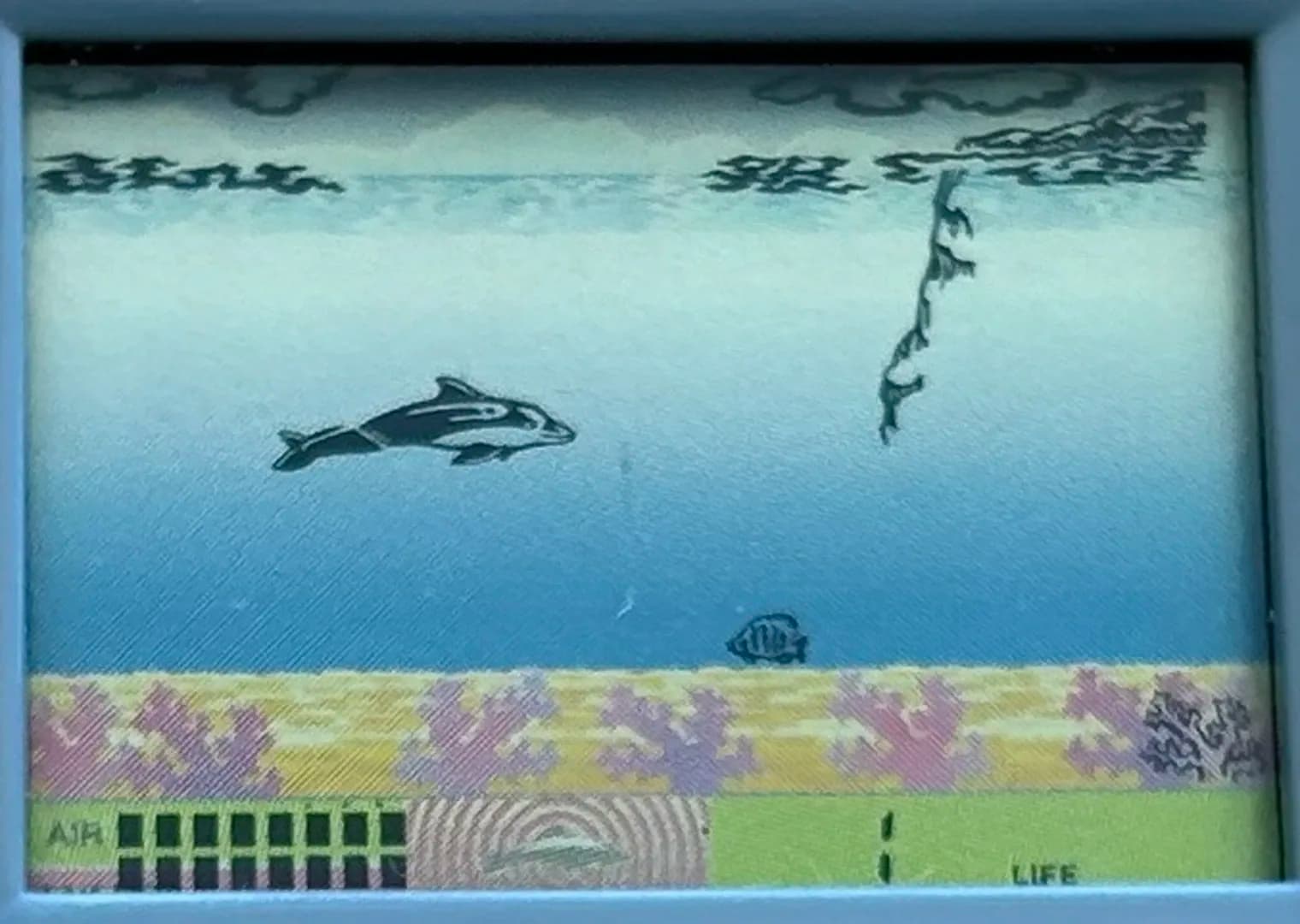 image backdrop image