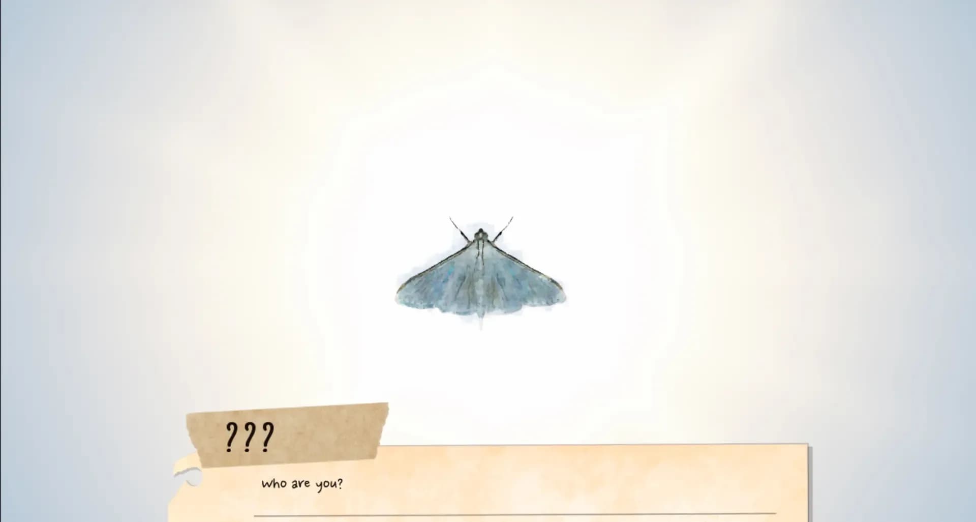 image backdrop image