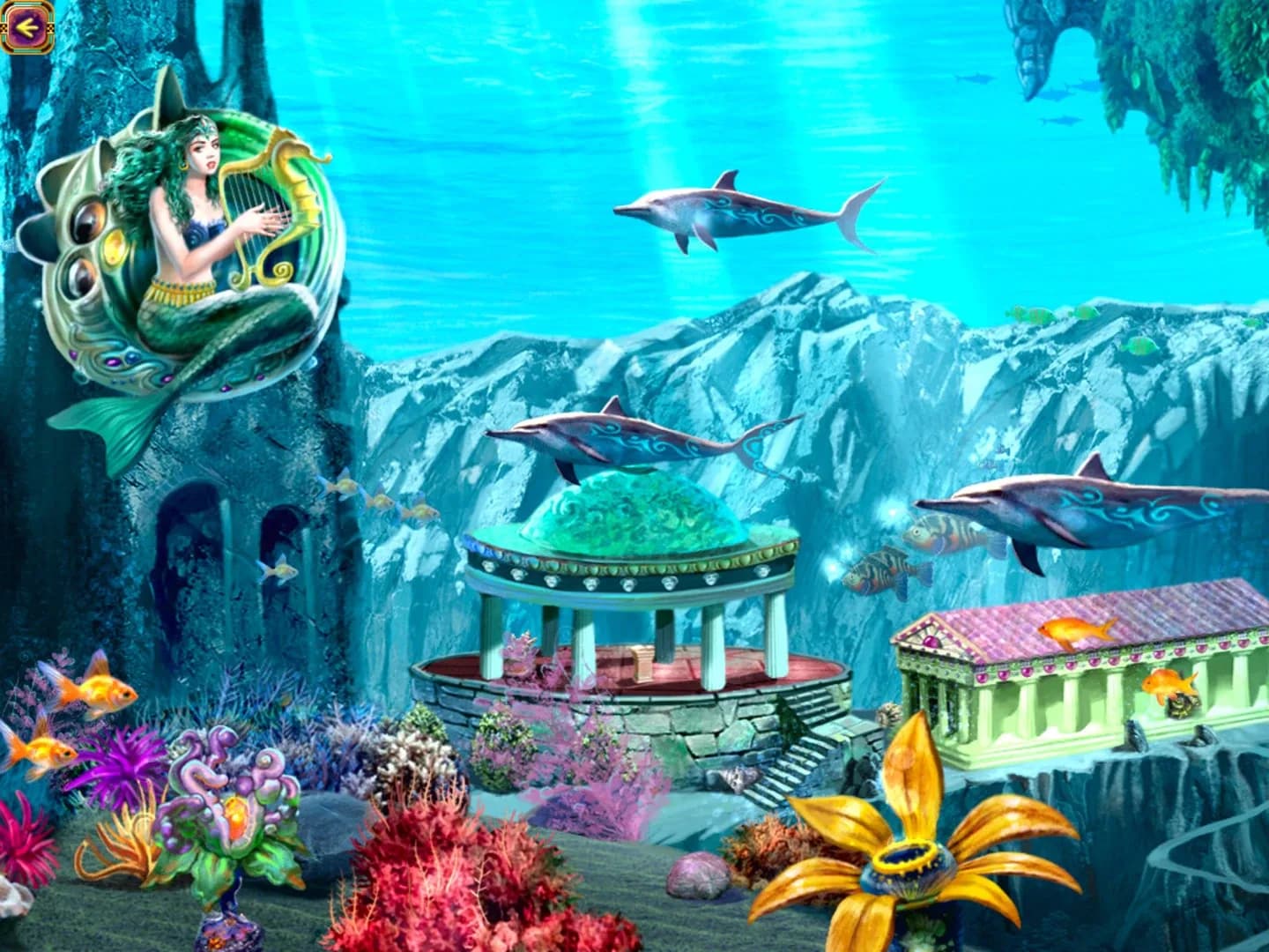 image backdrop image
