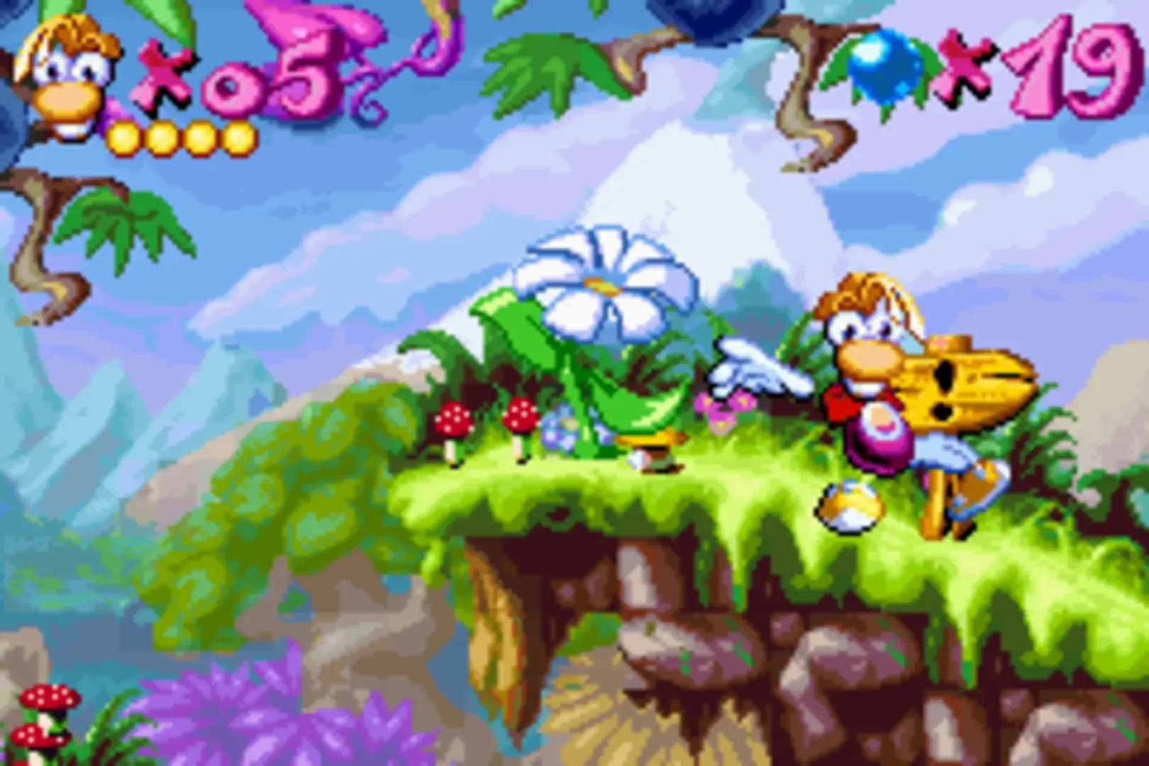 image backdrop image