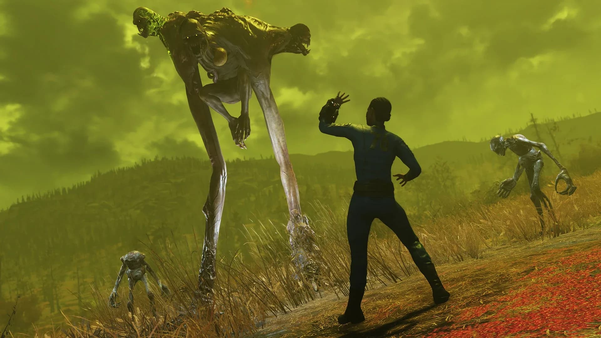 image backdrop image