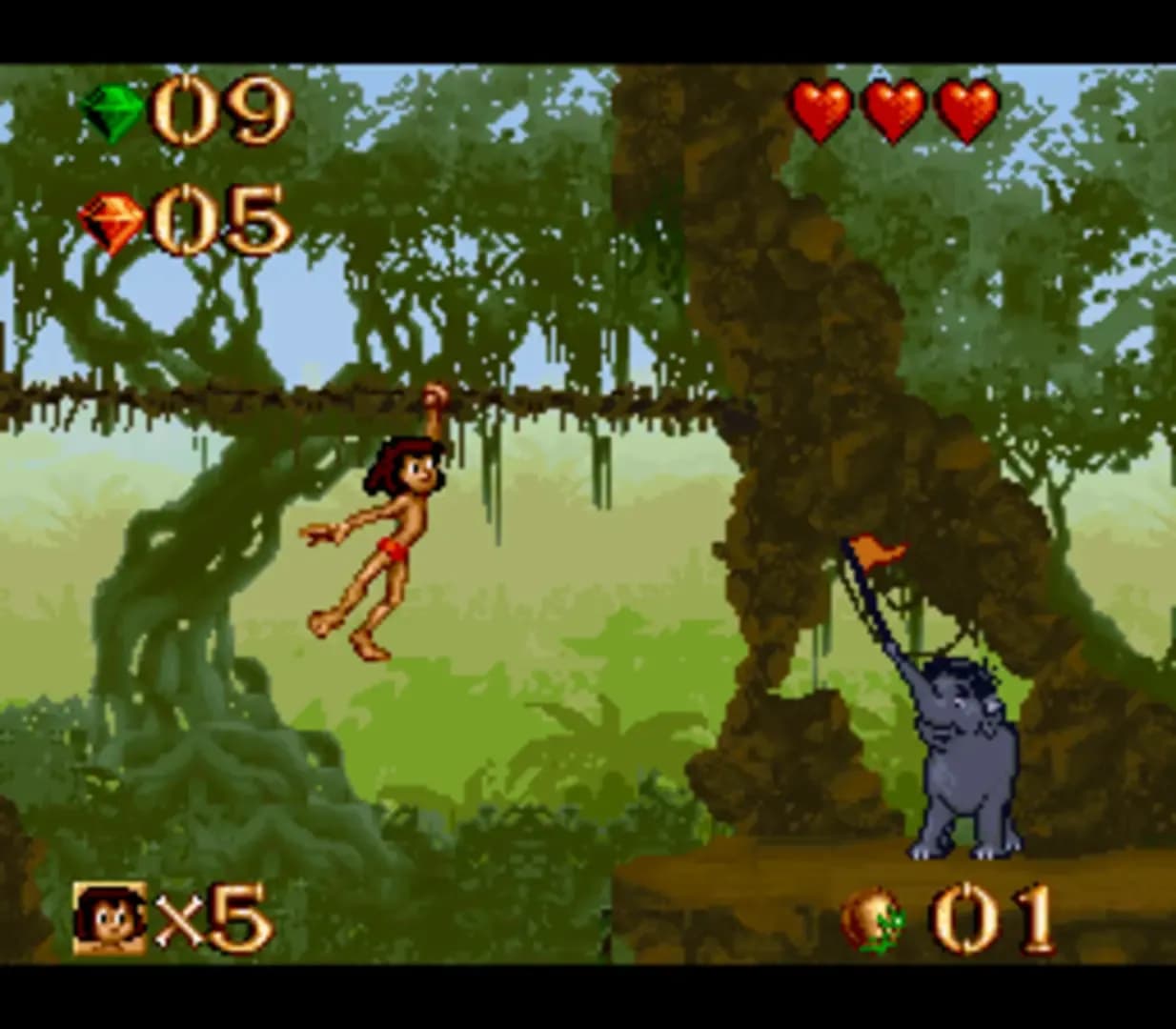 image backdrop image