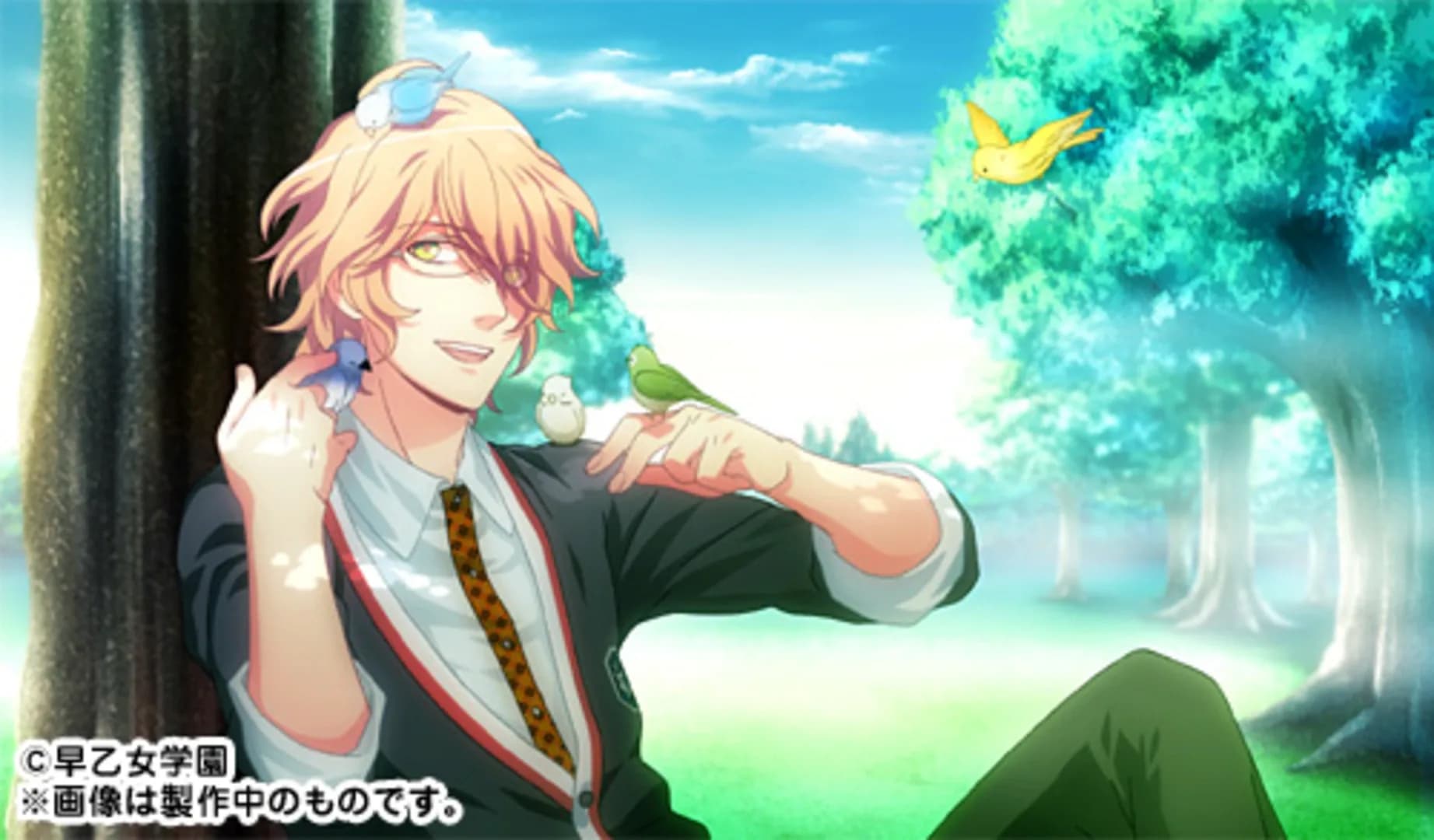 image backdrop image