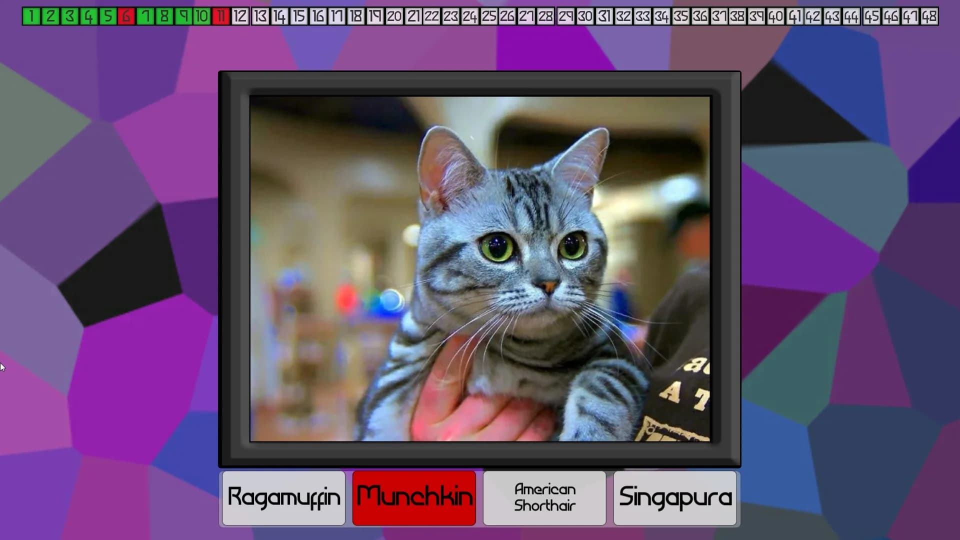 image backdrop image