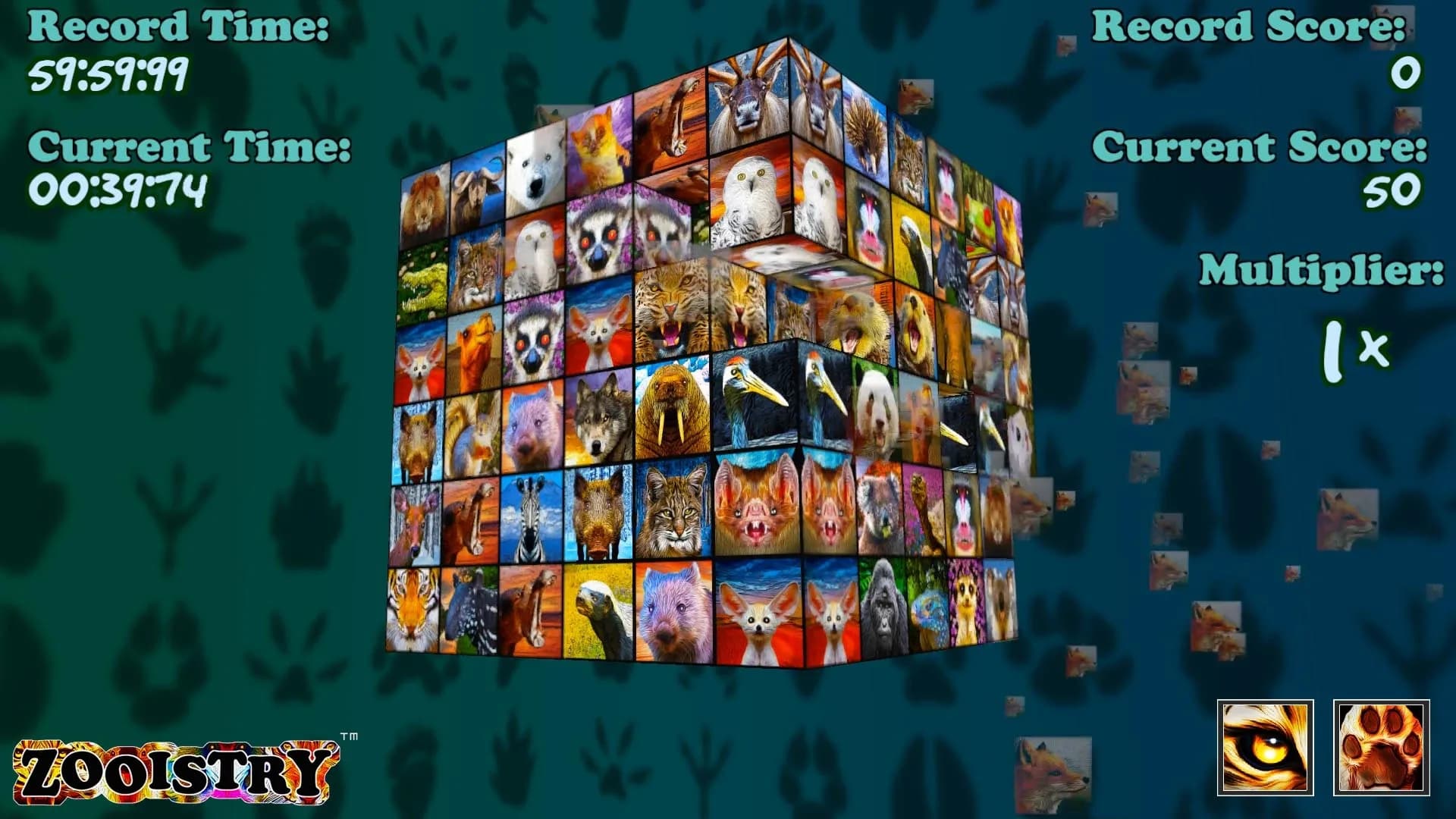 image backdrop image