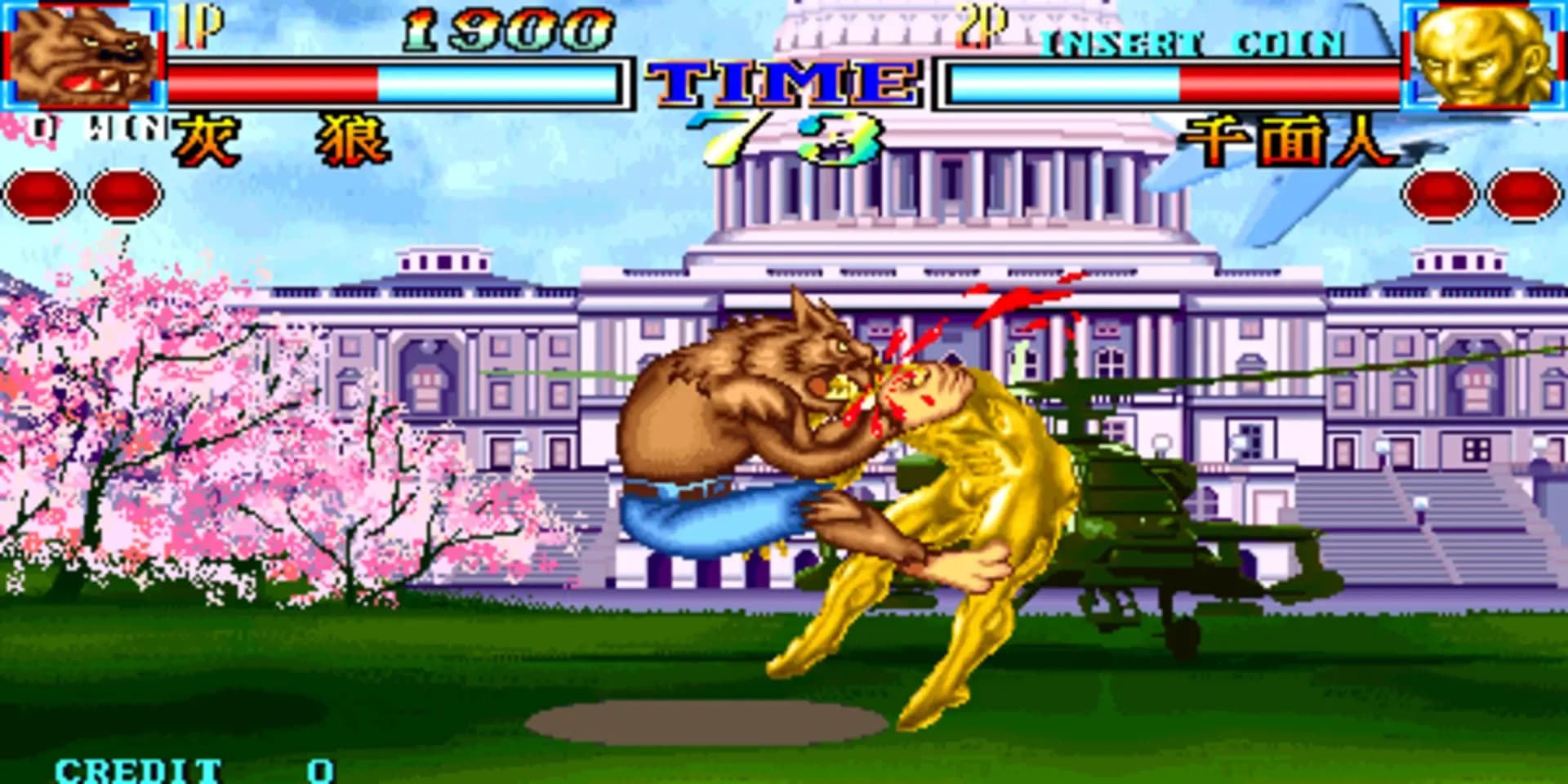 image backdrop image