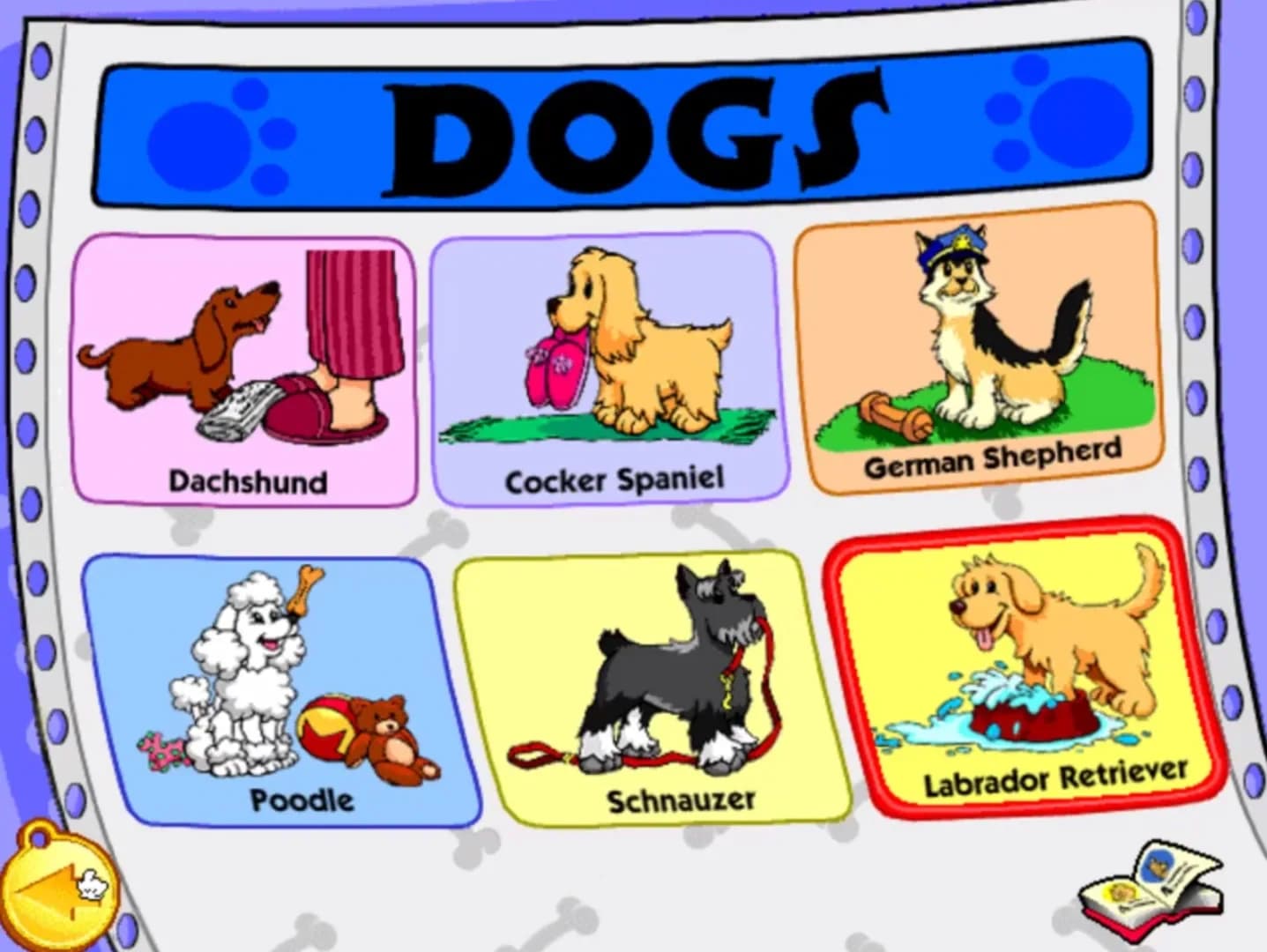 image backdrop image
