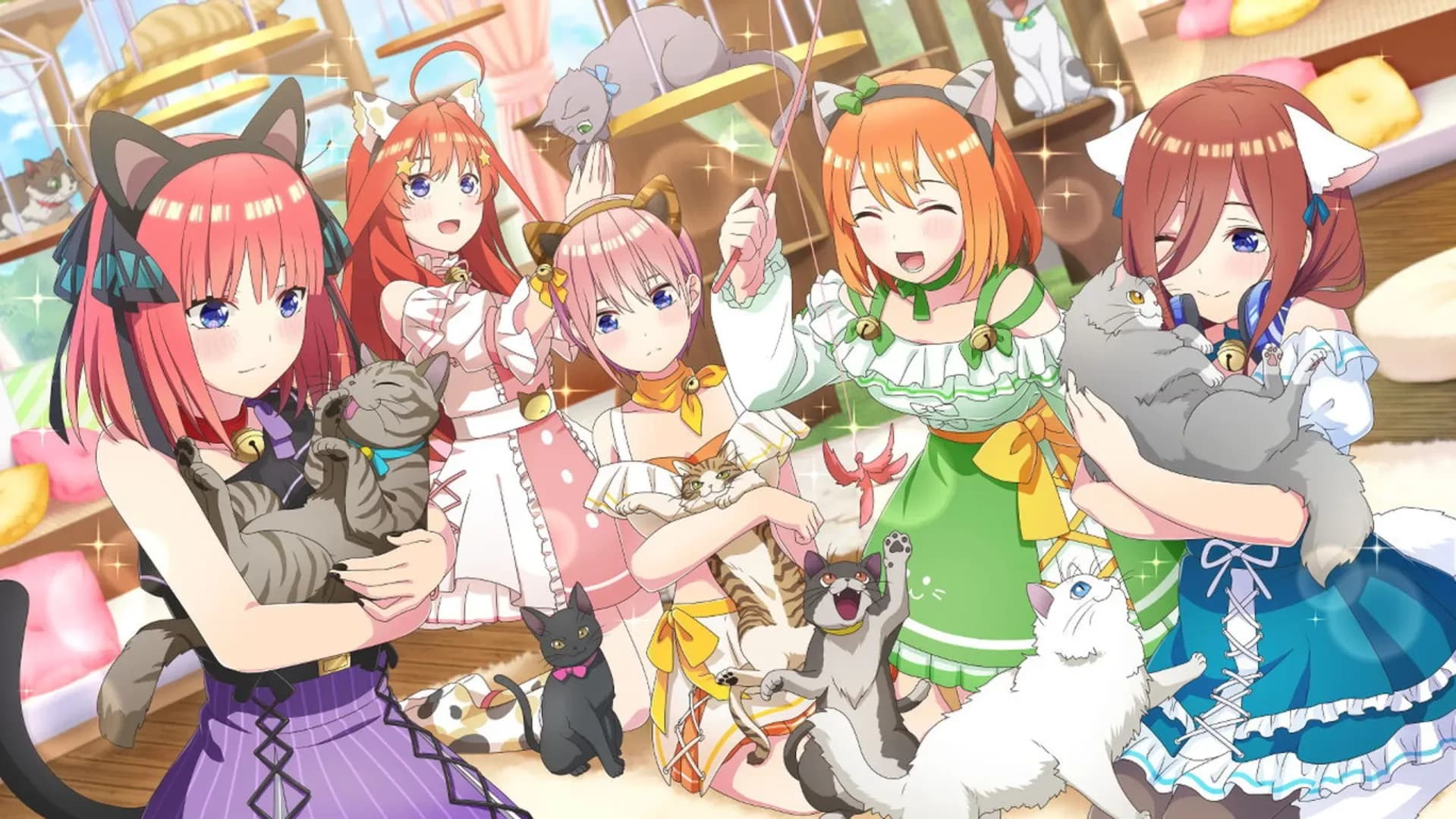 image backdrop image