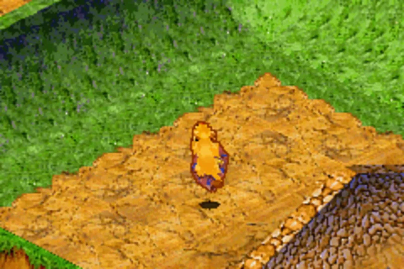 image backdrop image