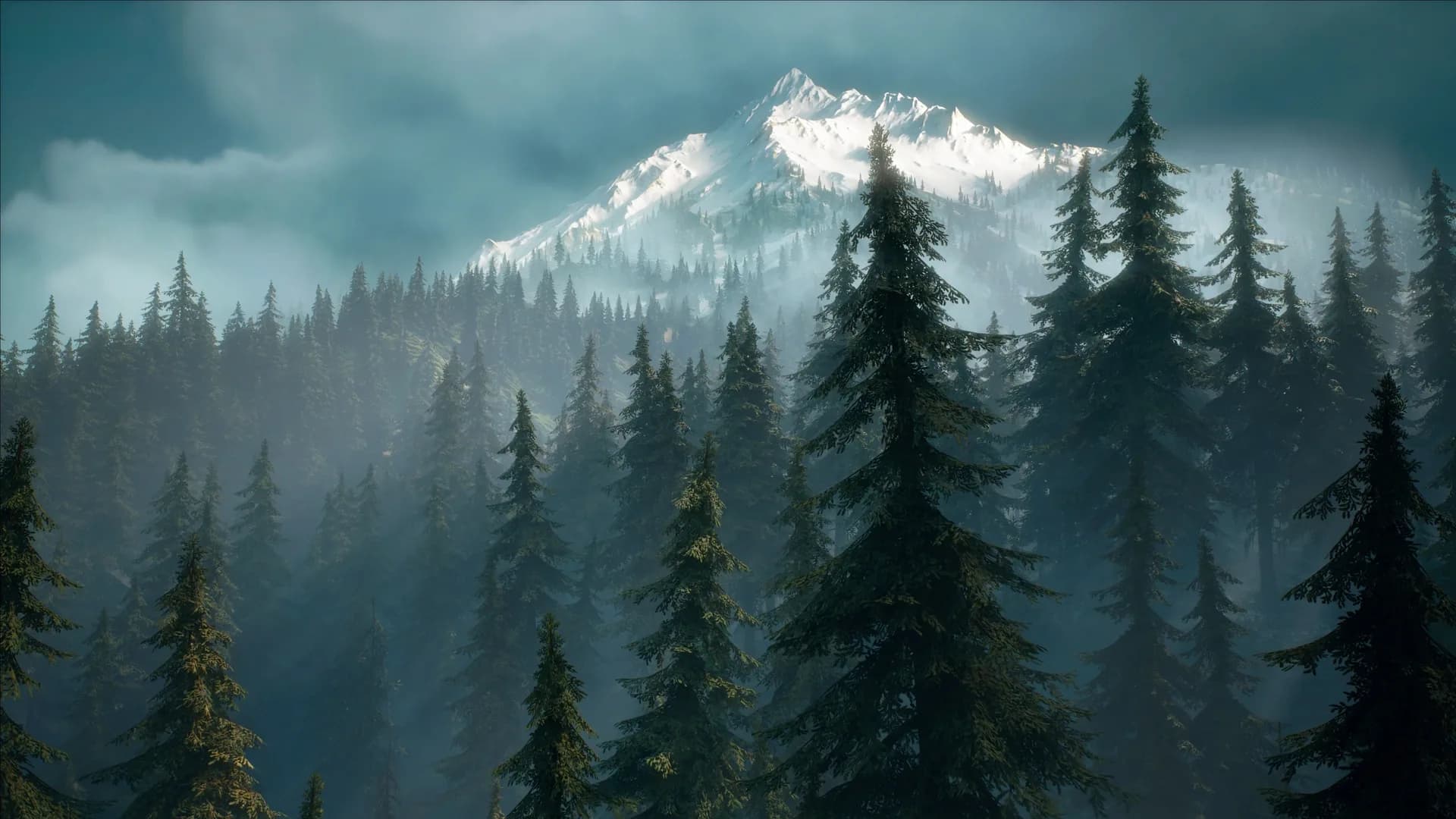image backdrop image