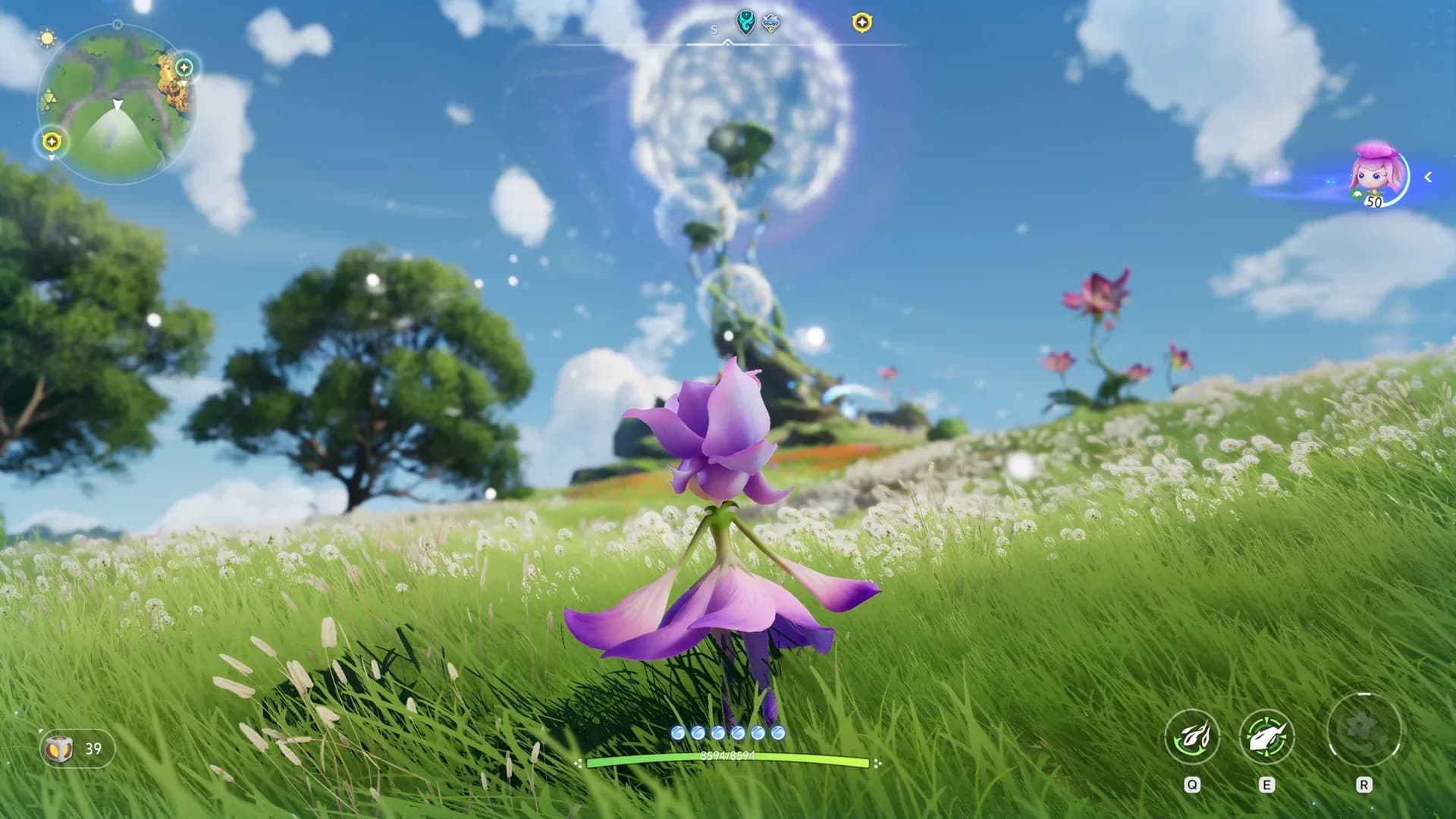 image backdrop image