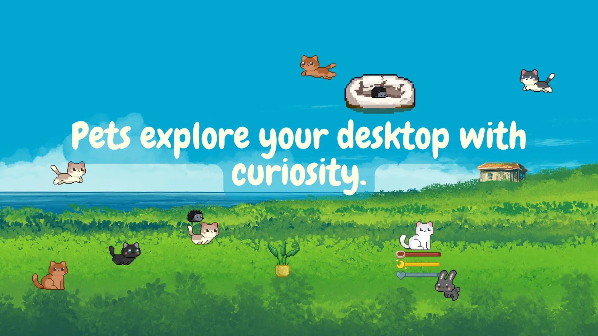 image backdrop image