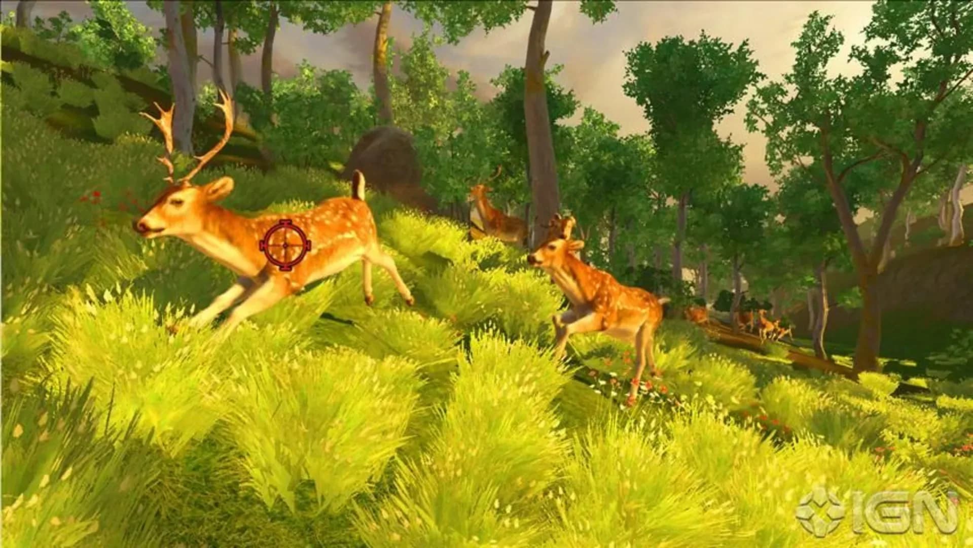 image backdrop image